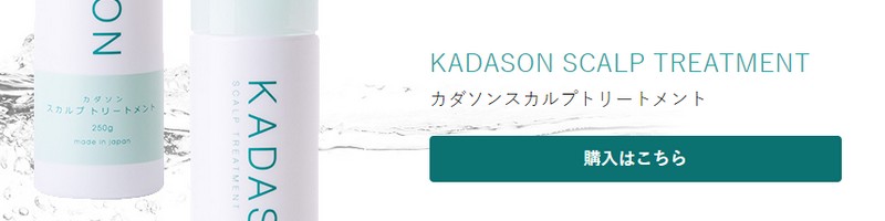 KADASON�X�J���v�V�����v�[���T�C�g
